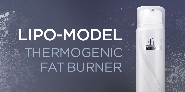 Lipo-Model